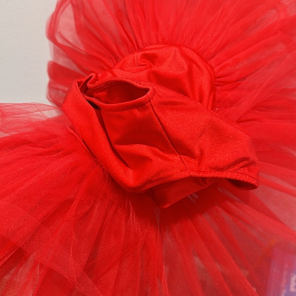Belle threads tutu dress - Picture 4 of 4